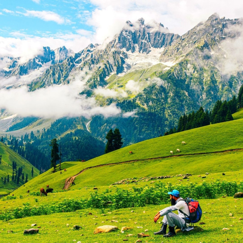 Beautiful Trip to Kashmir