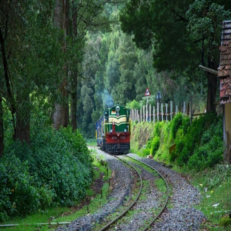 Magical South India