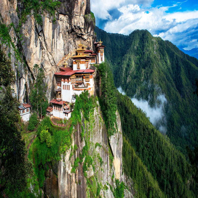 Mesical Bhutan